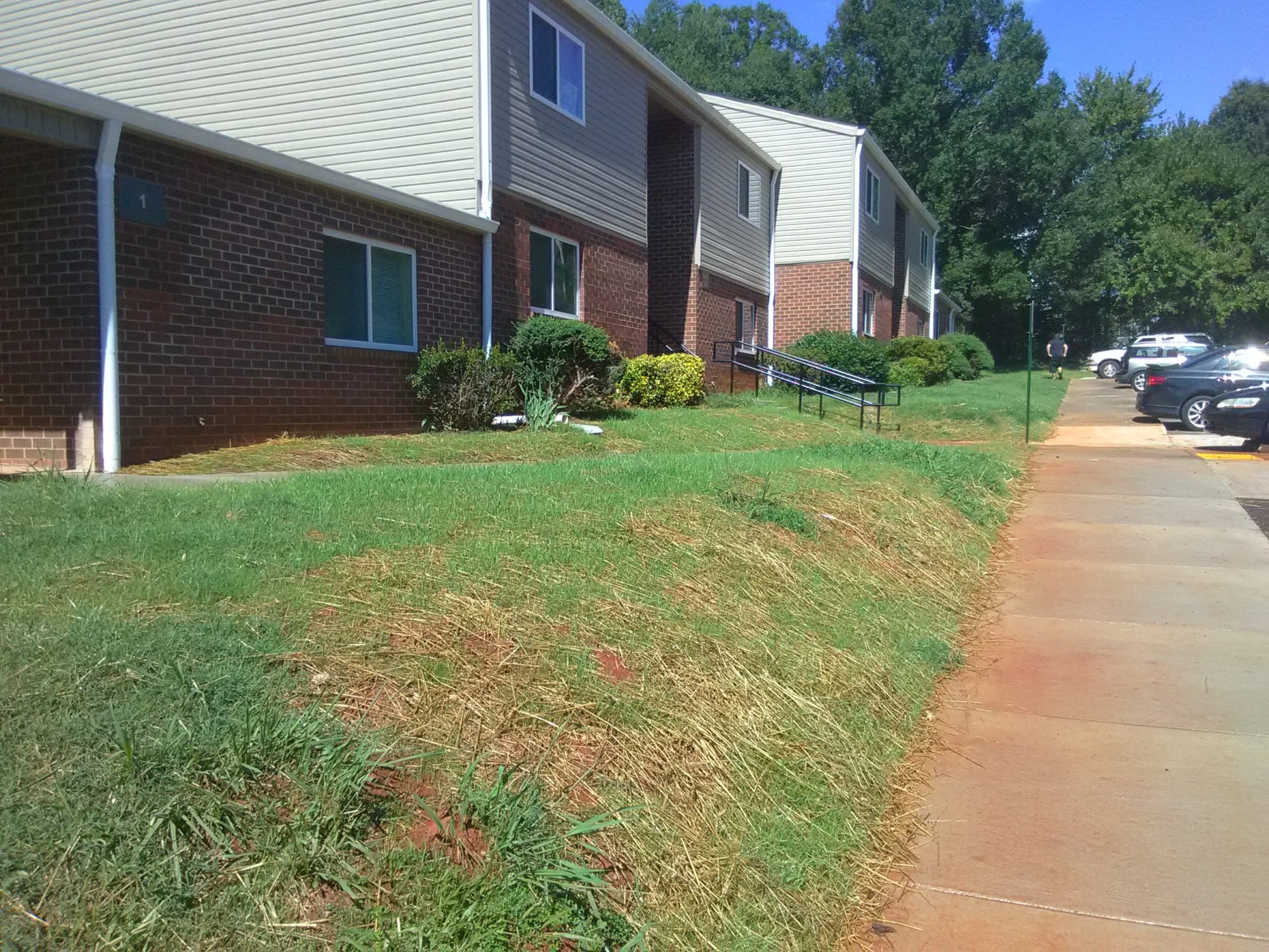 Catawba Pines Chamberlain and McCreery